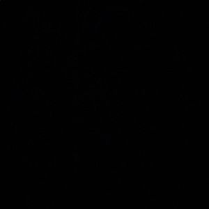 Meet your Posher, Gavin